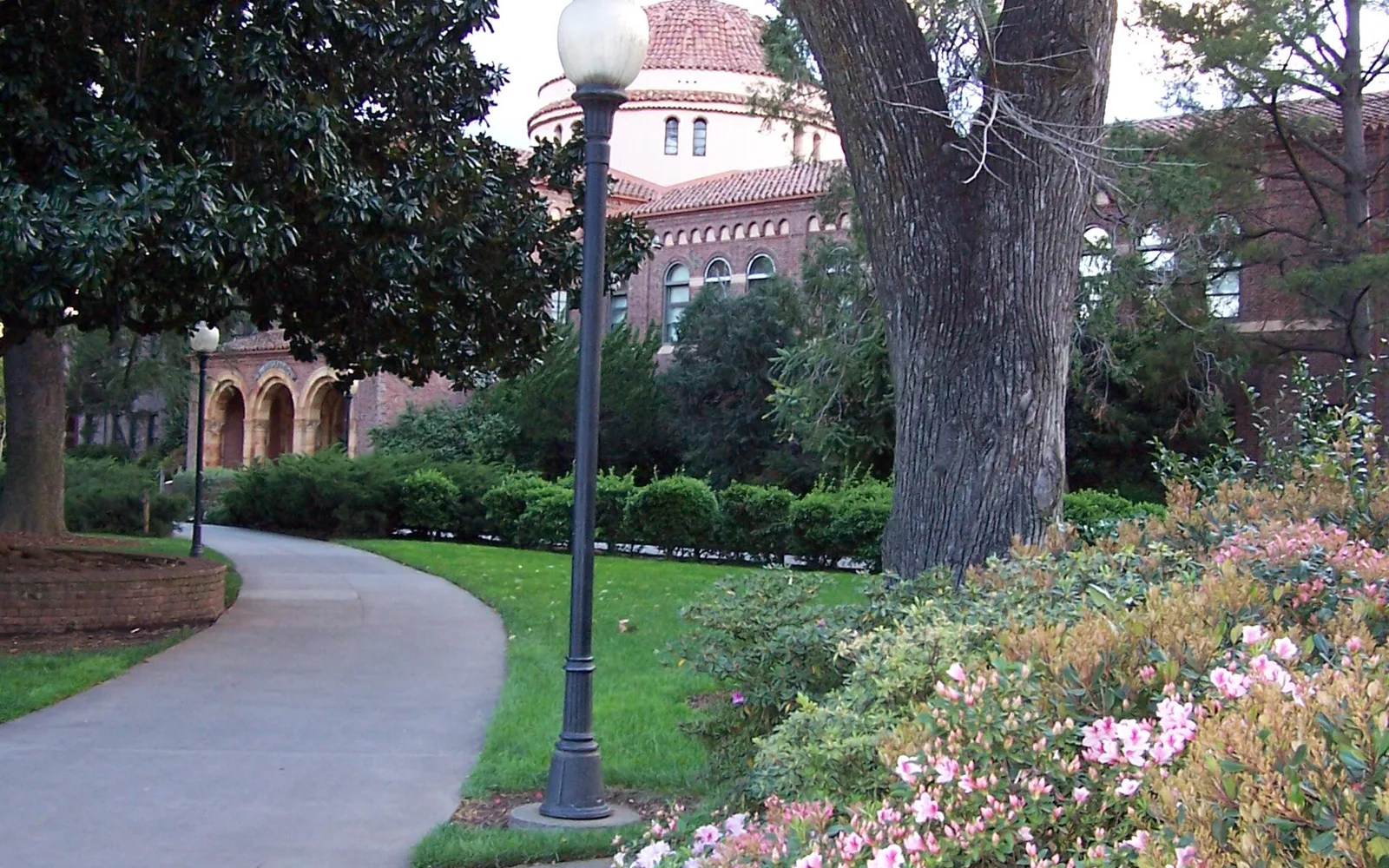 California State University, Chico campus in spring.