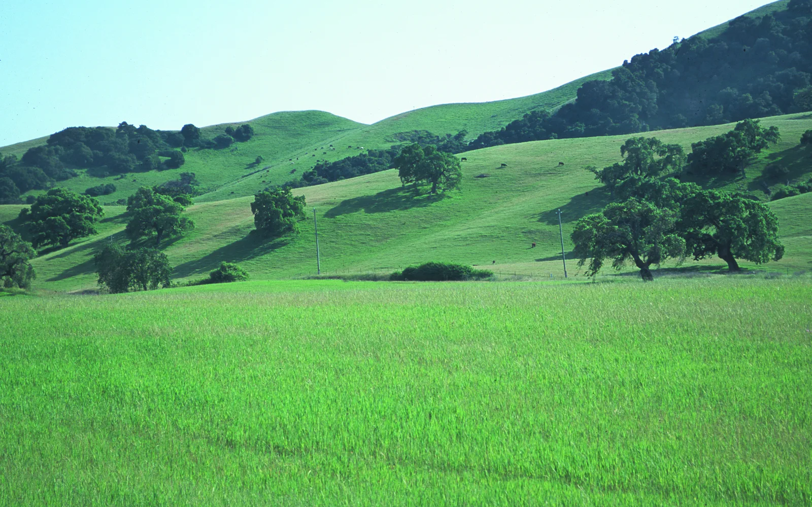 Northern California rangeland and agricultural landscape